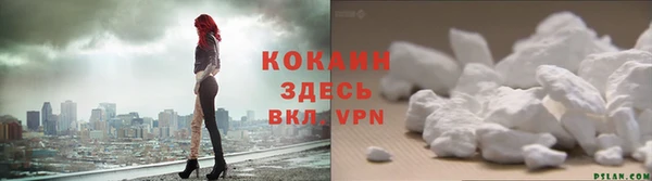 PSILOCYBIN Великий Новгород